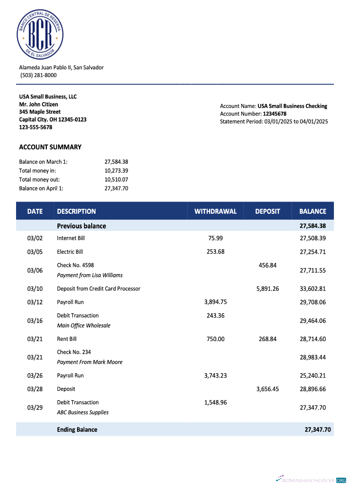 Salvadoran Banco Central de Reserva de Salvadoran firm account statement Word and PDF template